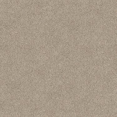 SHAW FLOORS RETAIL: DEVON CLASSIC III - Carpets Plus